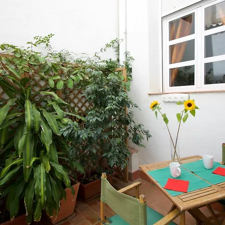 With Charm In The Center Of Apartment *